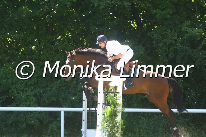 308M2301_Qualintor_Springpf L.JPG